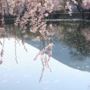 창녕 영산 만년교 이미지