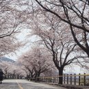 주산공원 이미지