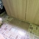 경포동-2 이미지