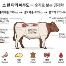 청녹섬유질가공사료 | [축산의 경제학 5편] 소의 다양한 활용 — 등심은 5%, 소의 경제는 100%