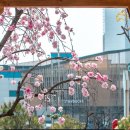 증평군립도서관 앞 이미지