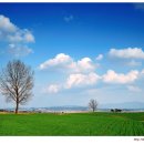 안산목장 이미지