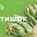 에이치피알 이미지