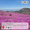 참꽃어린이집 앞 | 대구 비슬산 참꽃축제 실시간 2026 일정 셔틀버스 등산코스
