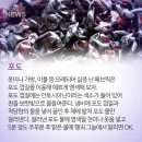 뜰에과일