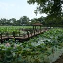 강주연못 이미지