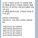 펫코노미 | <제주 애견동반 여행>강아지와 함께 배타고 목포->제주 왕복후기(펫 스탠다드룸,차량선적,가격)