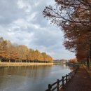 국수천천히 | ​비가 씻어 간 단풍, 내년을 기약하는 &#34;관방제림&#34;과 담양 국수거리 &lt;담양국수당&gt; 솔직후기