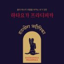 웰빙명상요가테라피