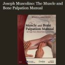 Joseph musculino의 촉진 동영상 소개 - 대박자료 이미지