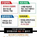 다온온열방