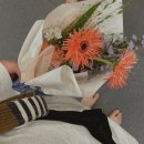 용인대 합기도 주짓수 이미지