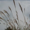 안동민박 이미지