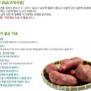 건강 · 다이어트 간식 : 고구마 말랭이 & 스낵 이미지