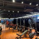 Y GYM FITNESS 이미지