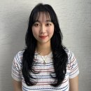송하디자인