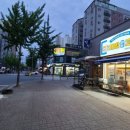 개밥파는고양이두정점