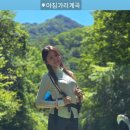 보발1리 마을회관 | [2026]강원도 인제 아침가리계곡 트래킹! 국내 계곡 TOP TIER (내돈내간, 찐 후기)