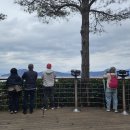 순천만여행 이미지