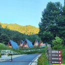 힐링 행정사사무소 이미지