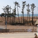 아그리나 시즌2 이미지