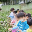 숲속애어린이집 이미지