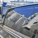 가양광택 손세차 | |일상| 야외 주차의 비극(새똥+열매) 탈출! 강서구 노브러쉬 자동세차 "워시앤고" 솔직 후기🚗✨