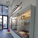 사랑애견샵 이미지