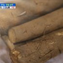 우엉