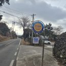 포투이어스 | 제주 봉쫀쿠 맛집 내가 뽑은 베스트 제주정류장