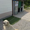 원조