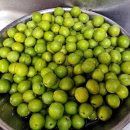 장용농장 이미지