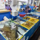 조은상회 이미지