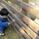 지현목장 이미지