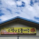 소백산토종메주 이미지
