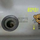 금이수지 이미지