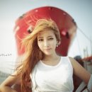 신세하 카카오 검색결과