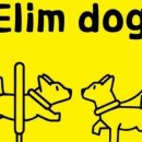 Elim Dog (엘림독) 이미지