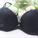 댑 코리아 이미지