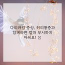 플러스마취통증의학과의원 이미지