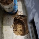 울진읍사무소 이미지