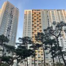 당산2동 은솔어린이집