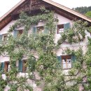 호수위의두번째집민박 이미지