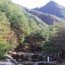 금양사 이미지