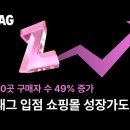 지그재그 이미지