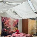 연월 | 대구북구카페 / 고성동카페 연월 두바이케이크 후기 &amp; 대팍근처카페 추천