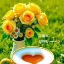 차