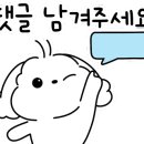 세겐돈가스 이미지