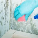 임방울대로825번길 이미지