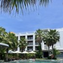 부부약국 이미지